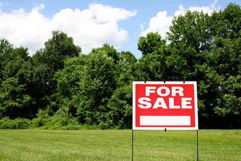 Dijual Tanah Jalan Raya Balong Panggang