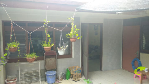 Foto 3