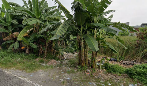 Dijual Tanah Jalan Siwalankerto Timur