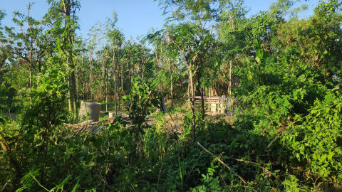 Foto 5