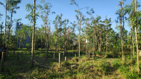 Dijual Tanah Kavling Di Jimbaran, Badung