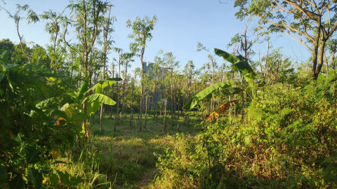 Foto 6
