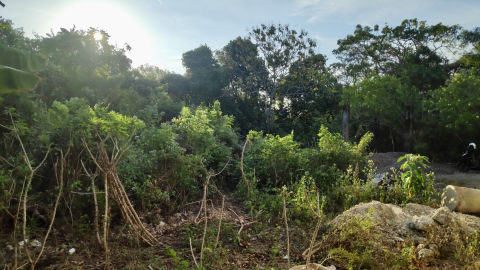 Foto 7