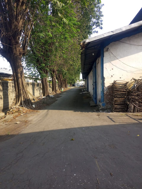 Foto 5