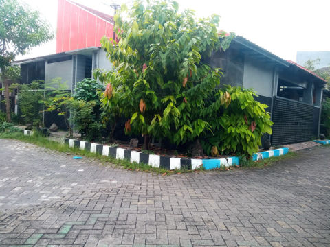 Dijual Rumah Kos Bluru Kidul Sidoarjo