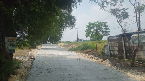 Foto 6