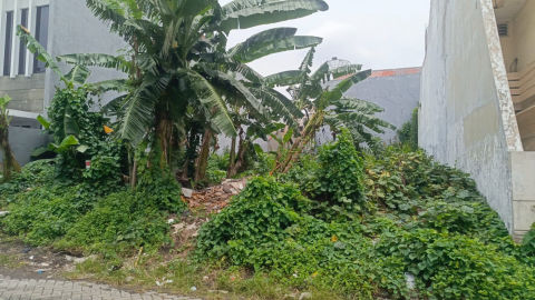 Dijual Tanah Lebak Arum