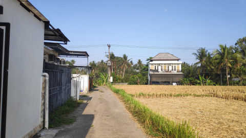 Foto 6