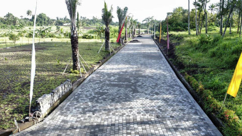 Foto 6