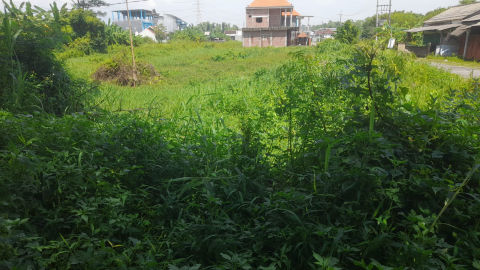 Dijual Tanah Pandaan