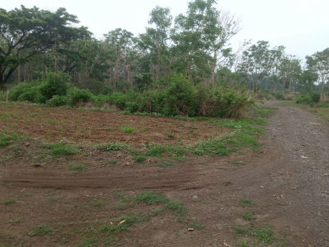 Dijual Tanah Sukorejo Pasuruan