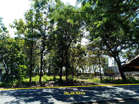 Dijual Tanah Situbondo