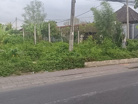 Dijual Tanah Canggu Bali