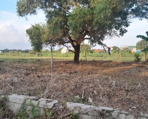 Dijual Tanah Alam Bukit Raya Gresik
