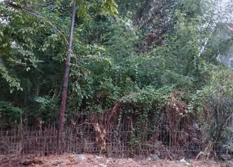 Dijual Tanah Medokan Rungkut