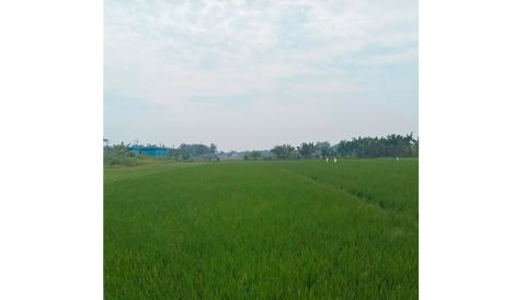 Dijual Tanah di Gunung Gedangan, Mojokerto