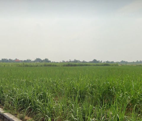 Dijual Lahan Tulangan Sidoarjo