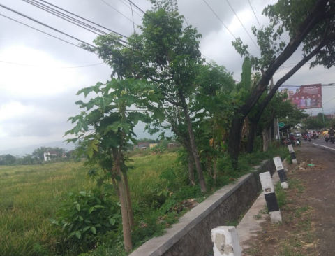 Dijual Tanah Purwosari