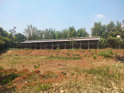 Dijual Lahan di Gondang, Mojokerto
