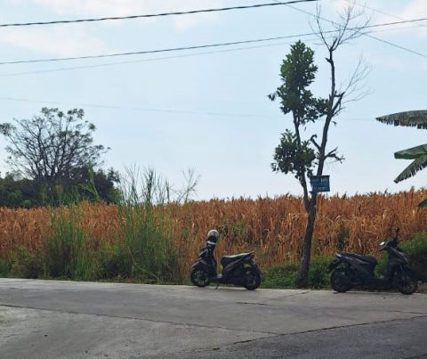 Dijual Rumah Raya Centong Gondang Mojokerto