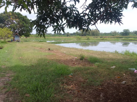 Dijual Tanah Pangkah Wetan Gresik