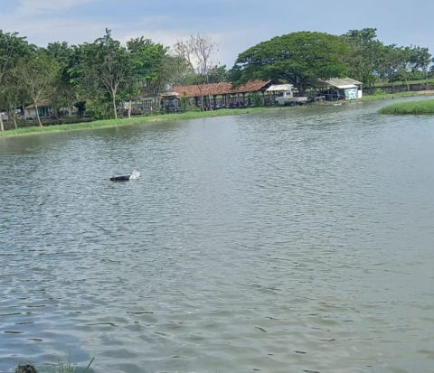 Dijual Tempat Usaha Kedung Peluk Candi
