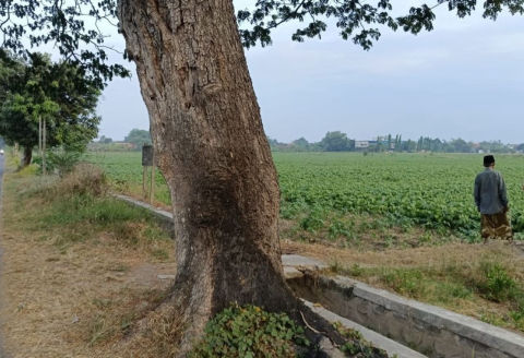 Dijual Tanah Tarik Sidoarjo