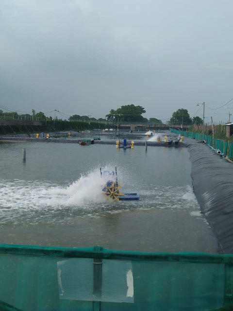 Dijual Tambak Udang Porong Sidoarjo
