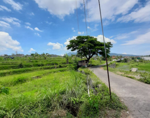 Dijual Tanah Pasuruan Jalan Wonosalam Candi Wates
