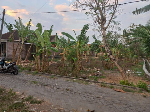 Dijual Tanah Pekarangan Jombang