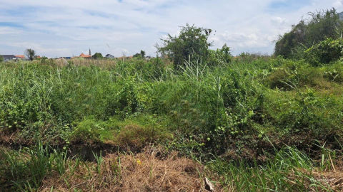 Dijual Tanah Industri Maspion Manyar Gresik