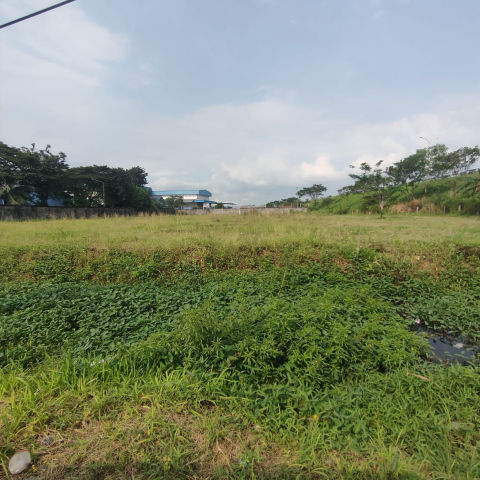Dijual Tanah Raya Tenaru Driyorejo Gresik