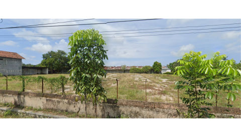 Dijual Tanah Banyuwangi