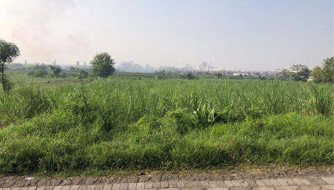 Dijual Tanah Sumput, Driyorejo