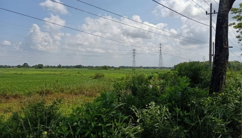 Dijual Tanah di Masaran, Bangkalan