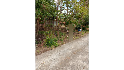 Dijual Tanah Sumber Kerep, Mantup, Lamongan