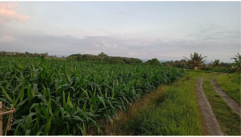 Dijual Tanah di Desa Tegalmengkeb, Tabanan Bali