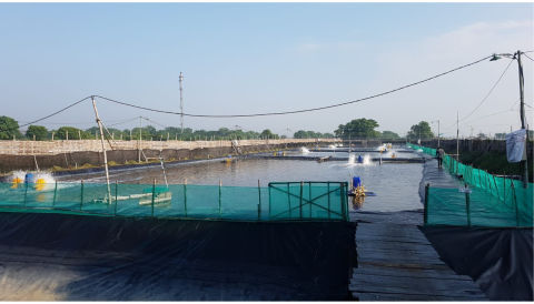 Dijual Tambak Desa Permisan, Porong Sidoarjo