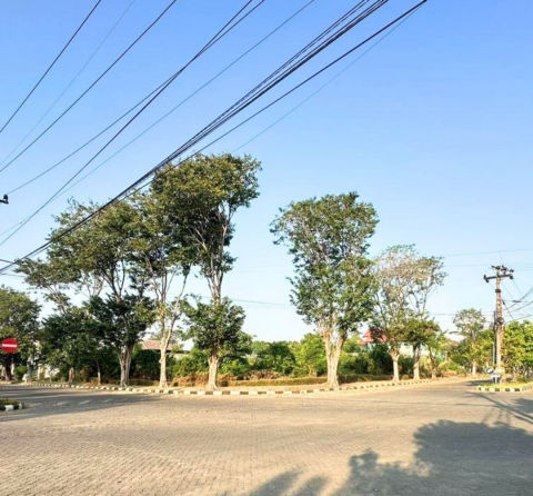 Dijual / Disewa Tanah Raya Surya Inti Permata