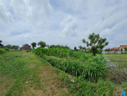 Dijual Tanah Tokelan, Panji, Situbondo