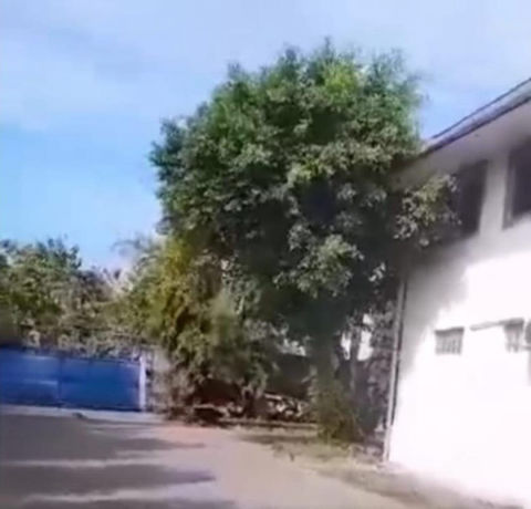 Dijual Pabrik Jalan Provinsi Bojonegoro