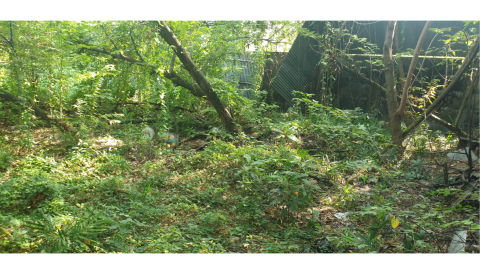 Dijual Tanah Jalan Pogot, Surabaya
