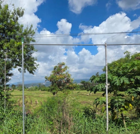 Dijual Tanah Raya Wonorejo Pasuruan